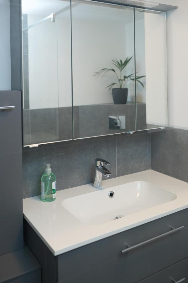 Ferienwohnung Endingen Am Kaiserstuhl Apartment Endingen am Kaiserstuhl